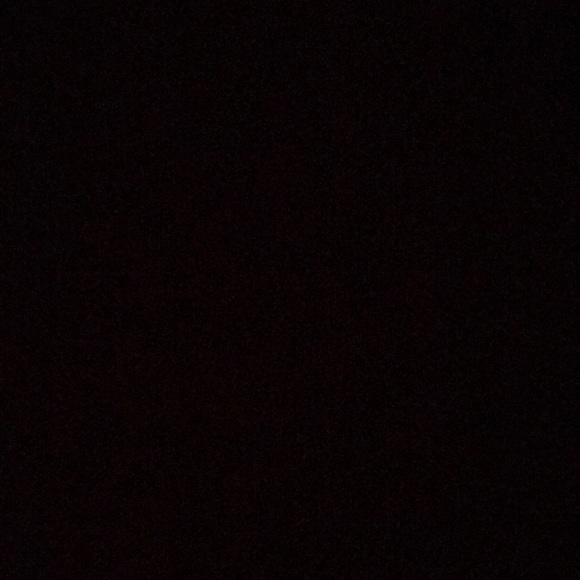 petersdelaney4